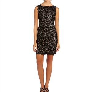 Adrianna Pappell Boatneck Dress